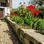 Cascina Beccaris Bed & Breakfast