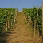 Bed & Breakfast Cascina Beccaris