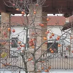 Cascina Beccaris Costigliole d'Asti