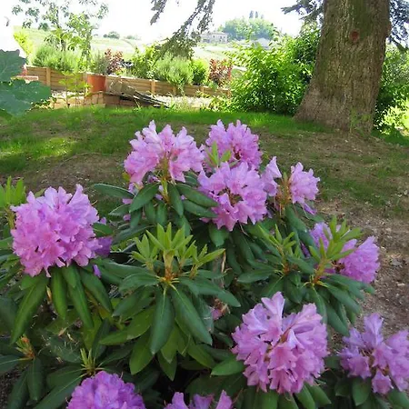 Cascina Beccaris Отель типа 