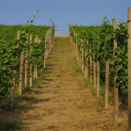 Alojamento de Acomodação e Pequeno-almoço Cascina Beccaris