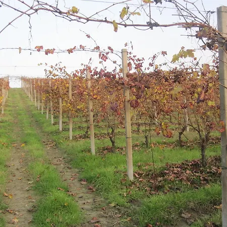 Bed & Breakfast Cascina Beccaris 3*