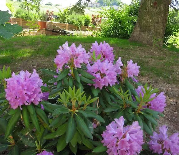 Cascina Beccaris Alojamento de Acomodação e Pequeno-almoço Costigliole d'Asti