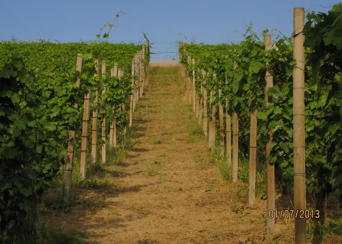 Bed and Breakfast Cascina Beccaris