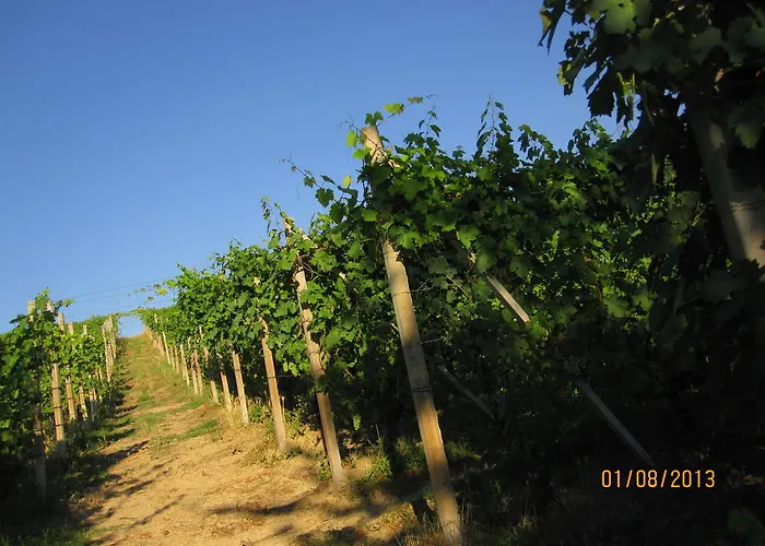 Bed and Breakfast Cascina Beccaris