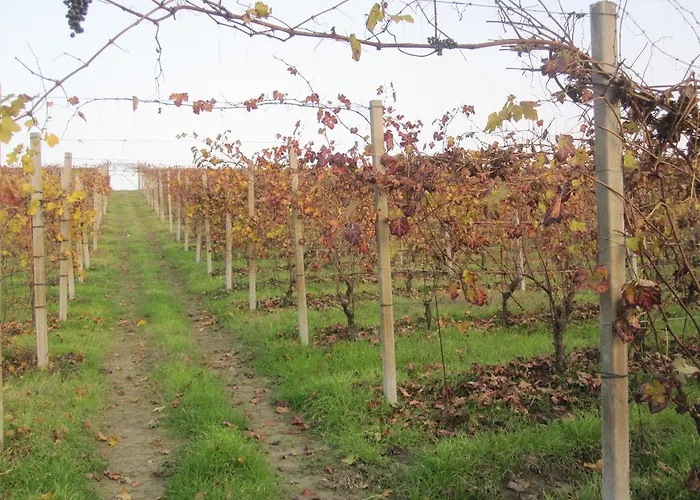 Alojamento de Acomodação e Pequeno-almoço Cascina Beccaris 3*